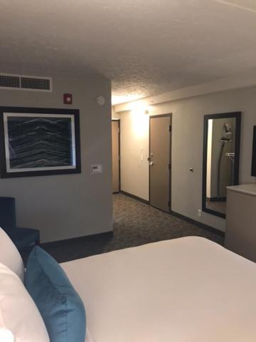 Holiday Inn - Bloomington - Normal By Ihg Eksteriør bilde